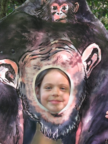 img00016.jpg