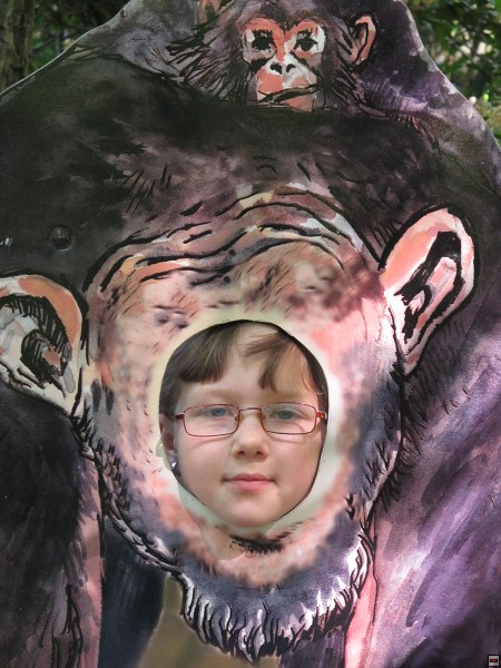 img00019.jpg
