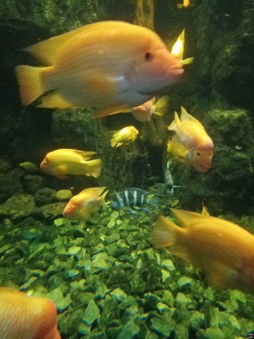 img00013.jpg