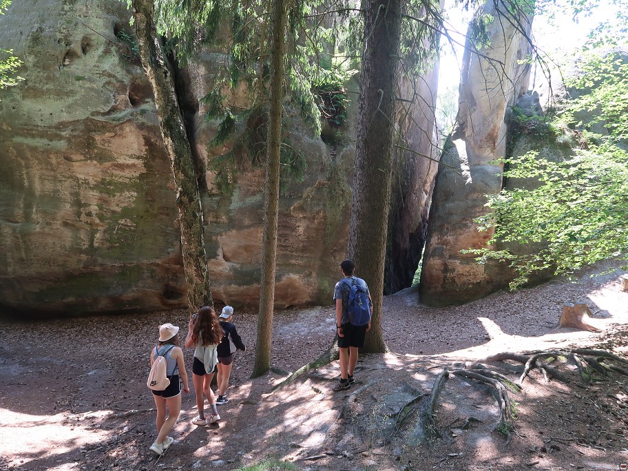 img00080.jpg