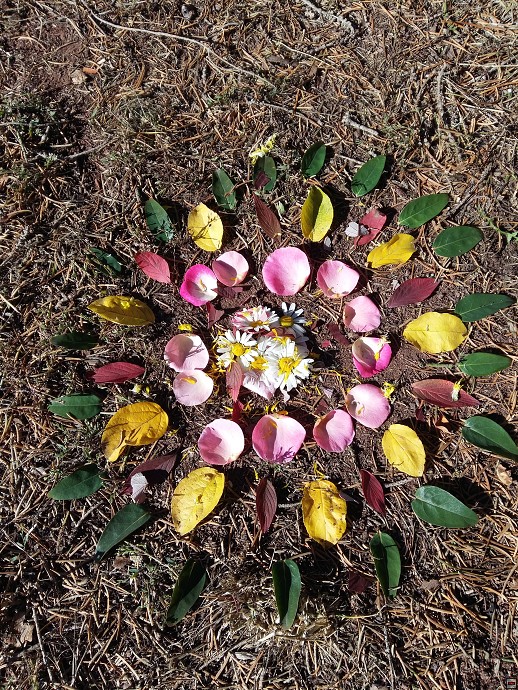 img00020.jpg