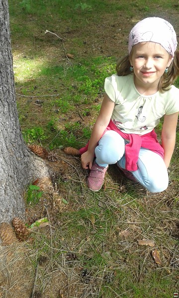 img00005.jpg