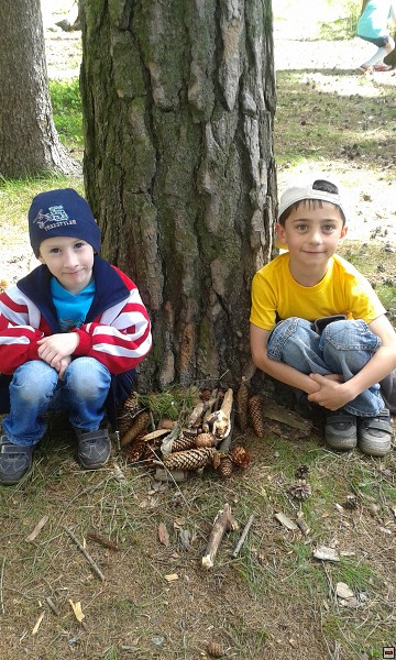 img00008.jpg