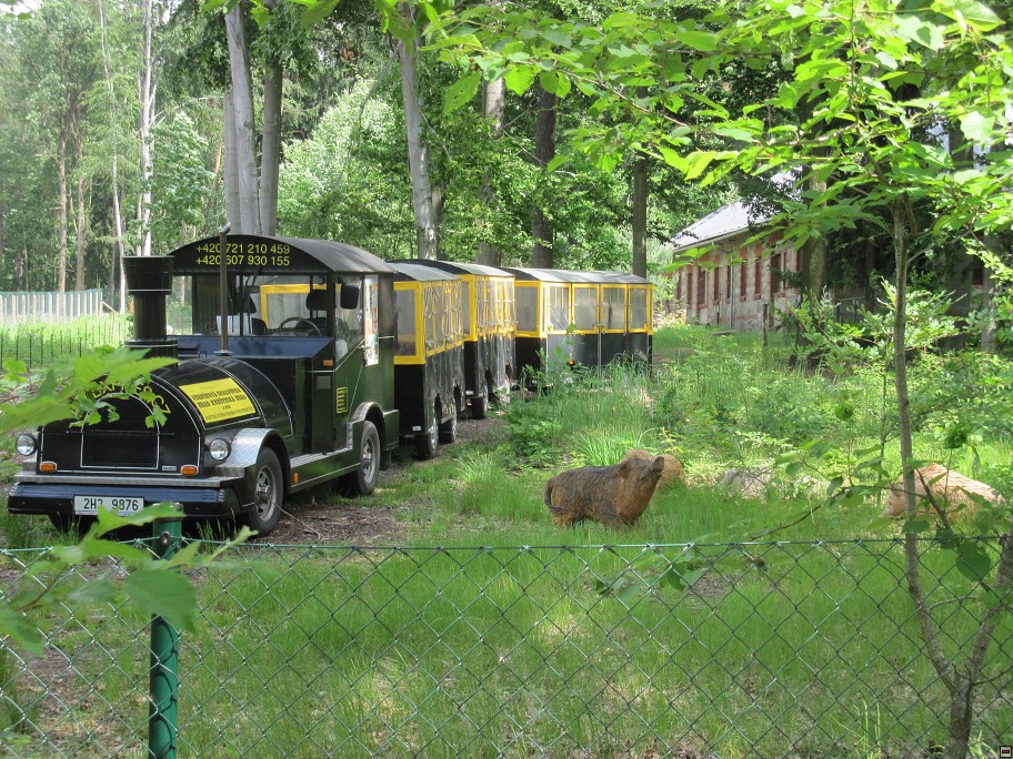 img00056.jpg
