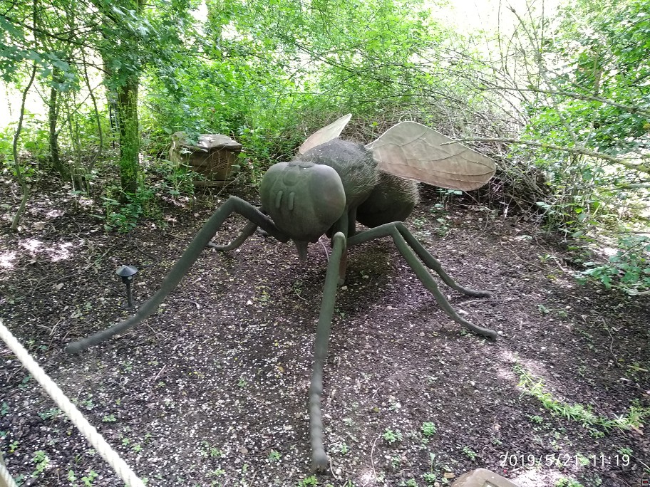 img00066.jpg