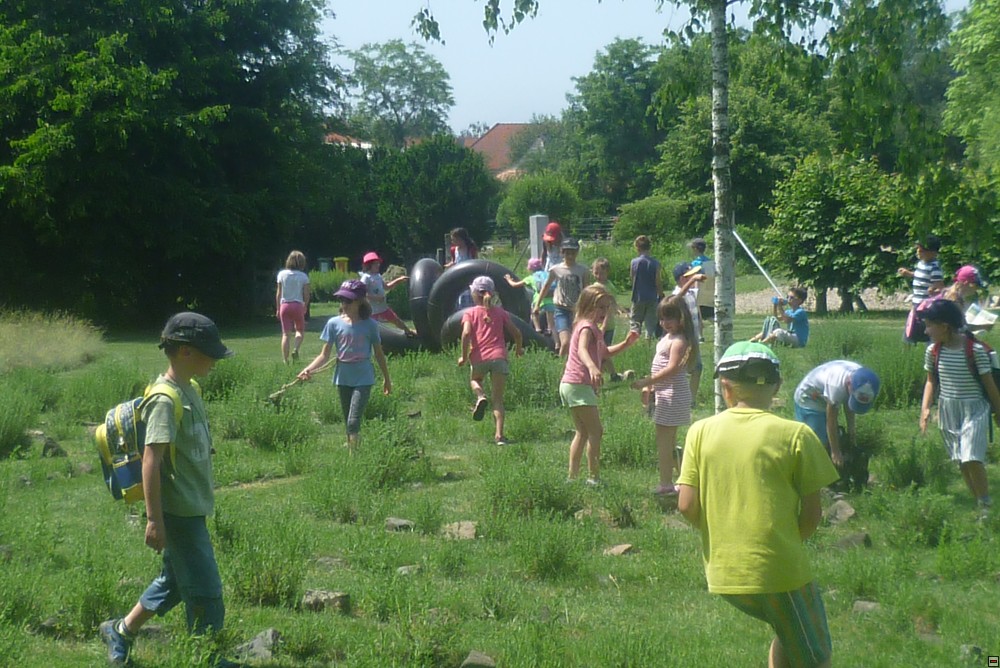 img00017.jpg