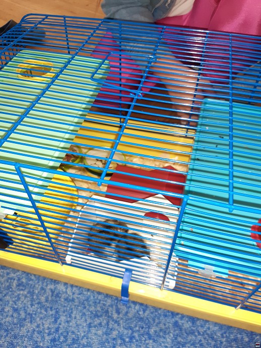 img00009.jpg