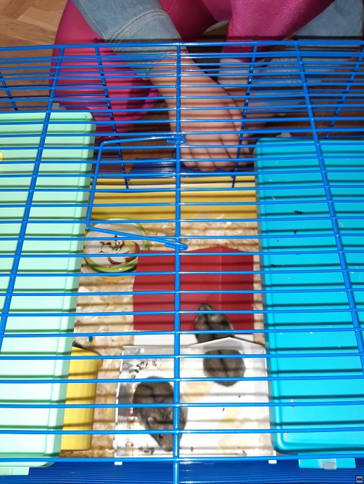 img00010.jpg