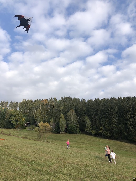 img00013.jpg