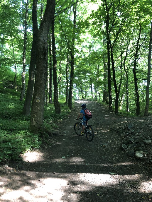 img00037.jpg