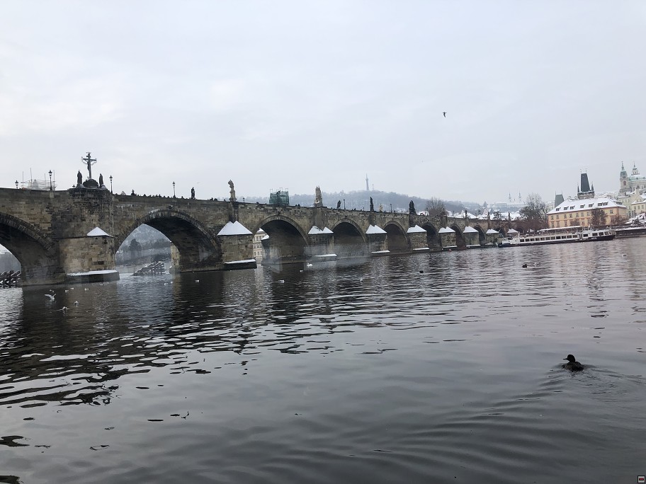 img00031.jpg