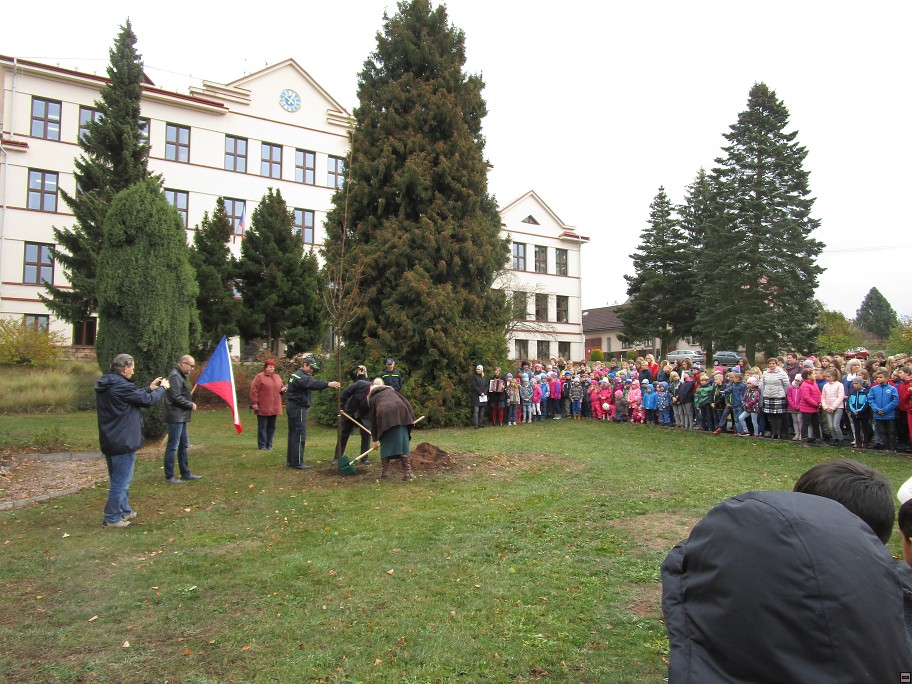 img00021.jpg