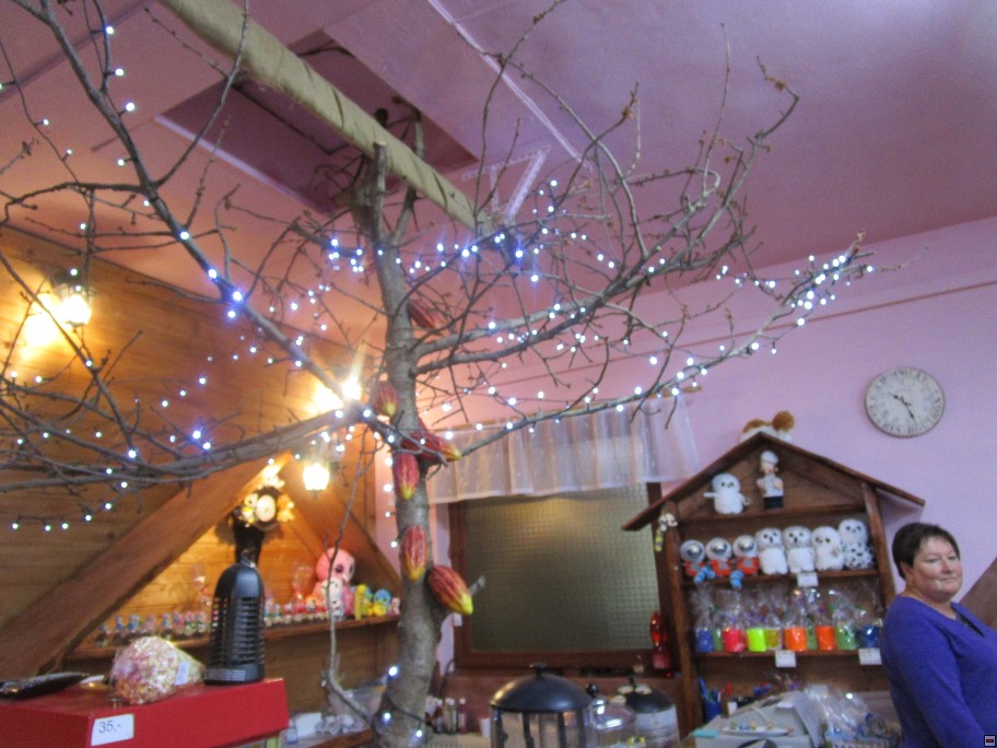 img00003.jpg