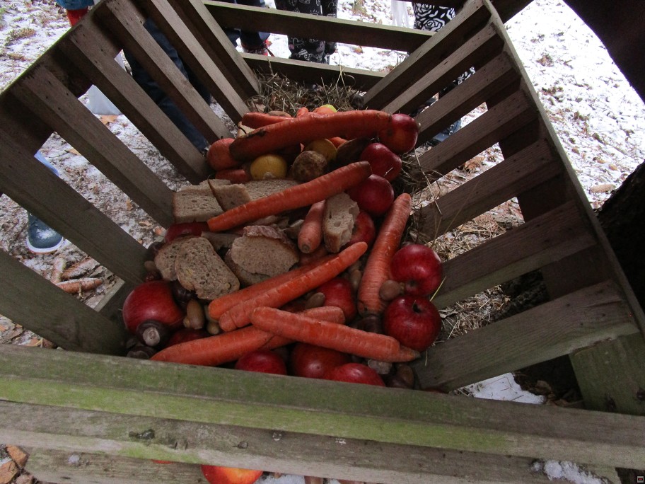 img00011.jpg