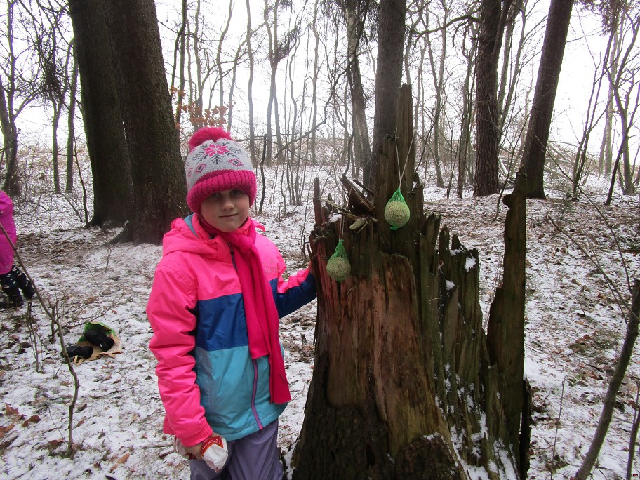 img00020.jpg
