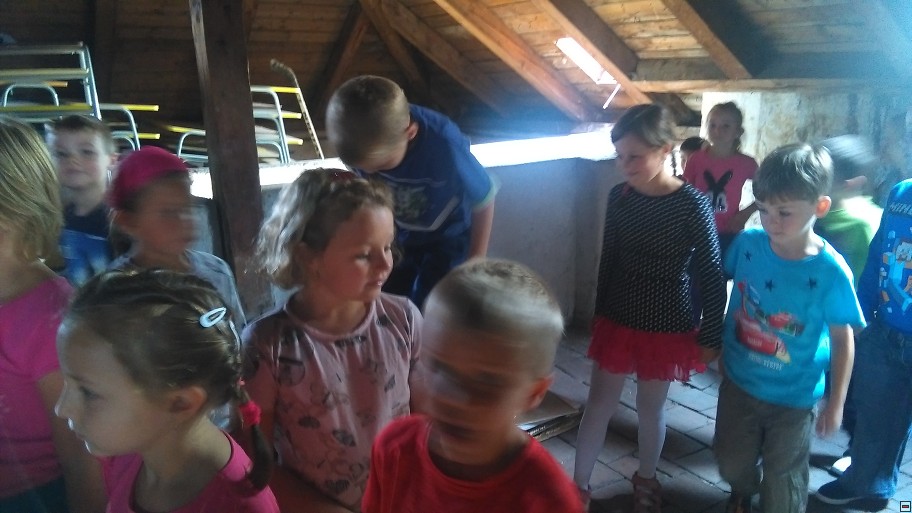 img00020.jpg