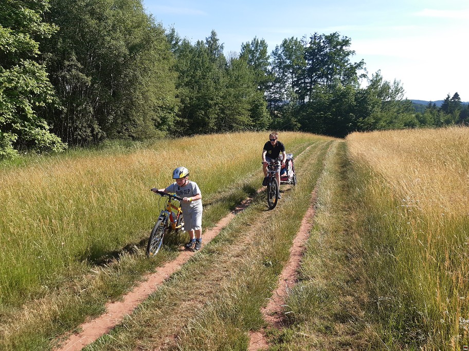 img00029.jpg