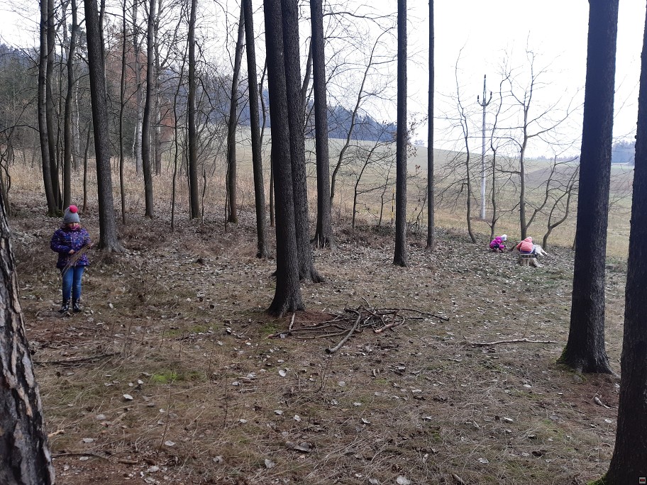 img00006.jpg