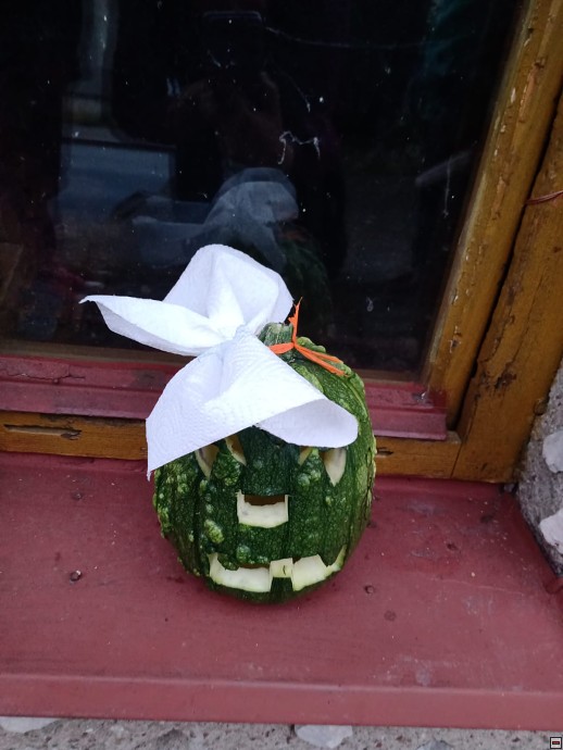 img00011.jpg