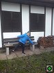 thn00040.jpg