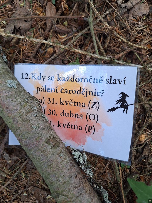 img00045.jpg