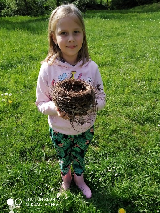 img00074.jpg