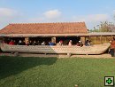 thn00092.jpg