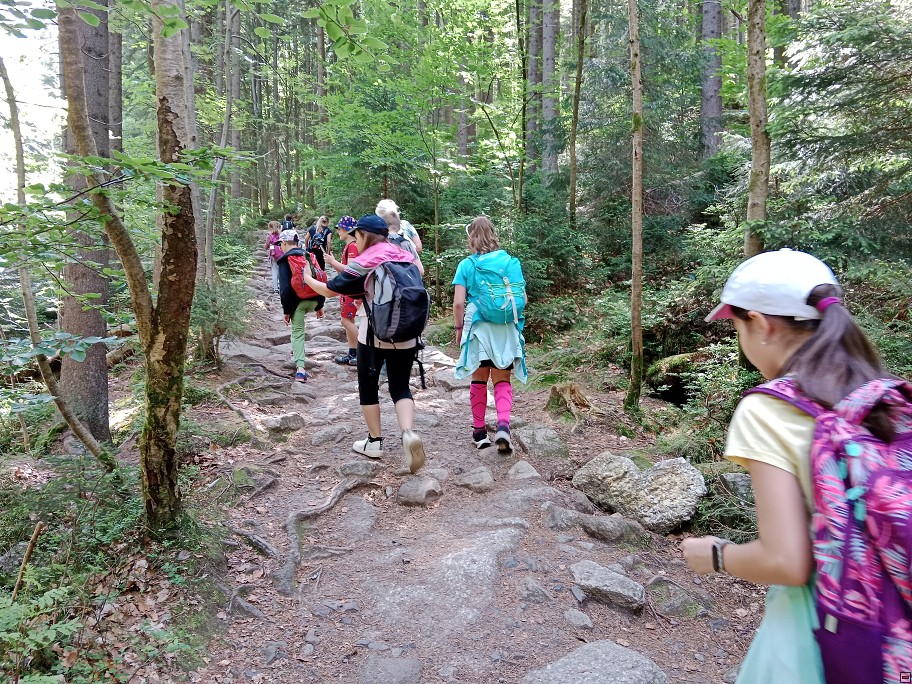 img00013.jpg
