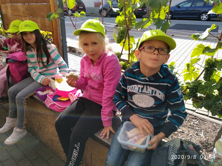 img00046.jpg