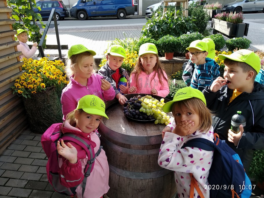 img00058.jpg