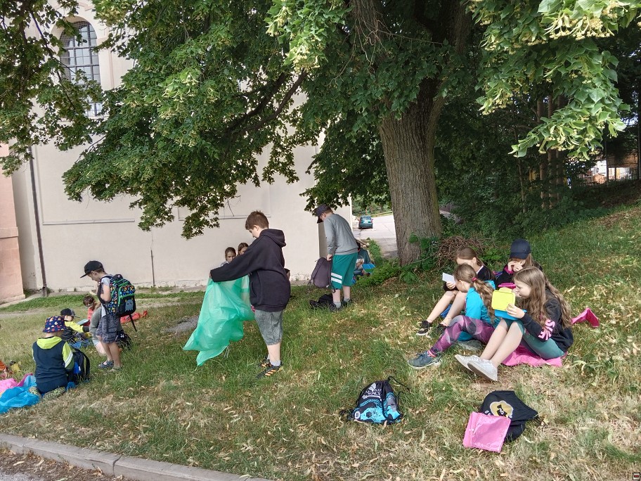 img00006.jpg