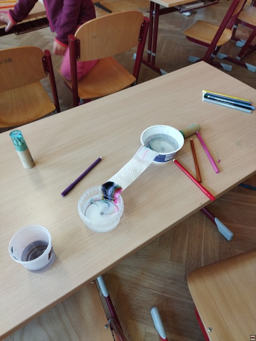 img00010.jpg