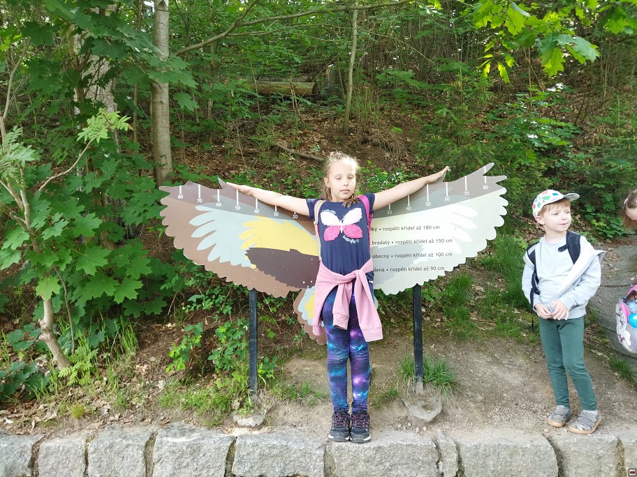 img00051.jpg