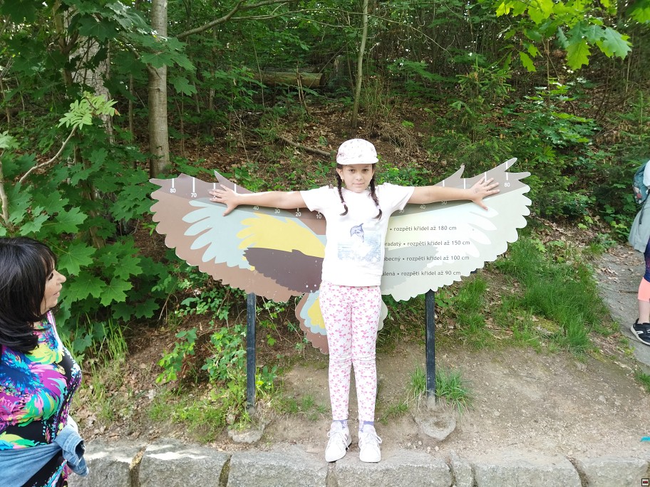 img00060.jpg