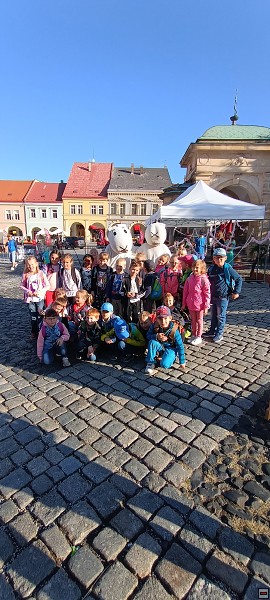 img00009.jpg