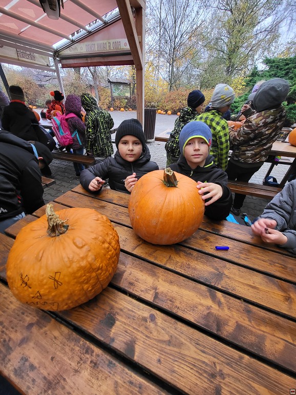 img00008.jpg