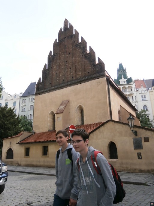 img00003.jpg