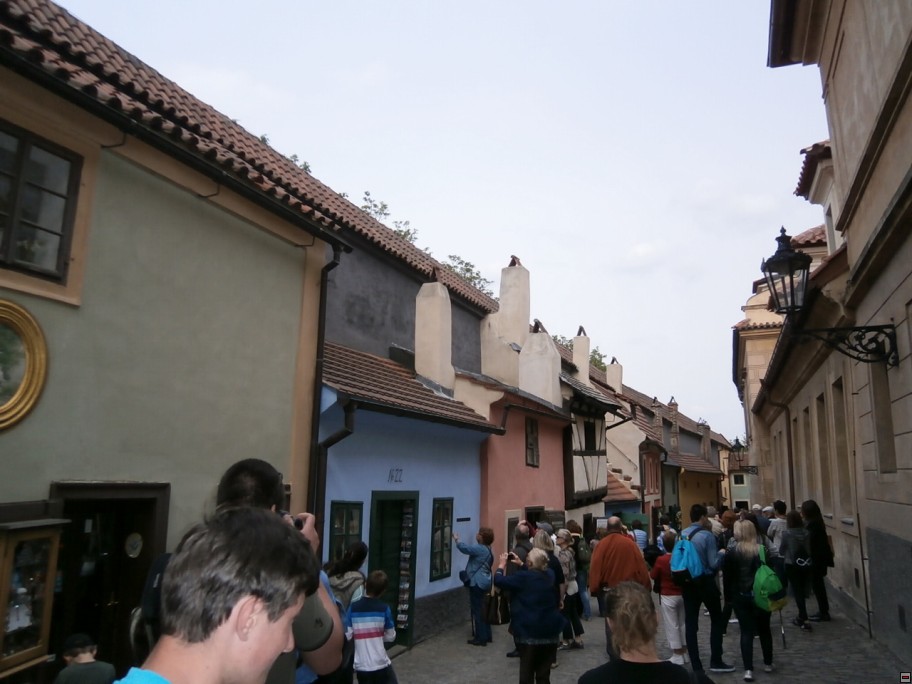 img00042.jpg