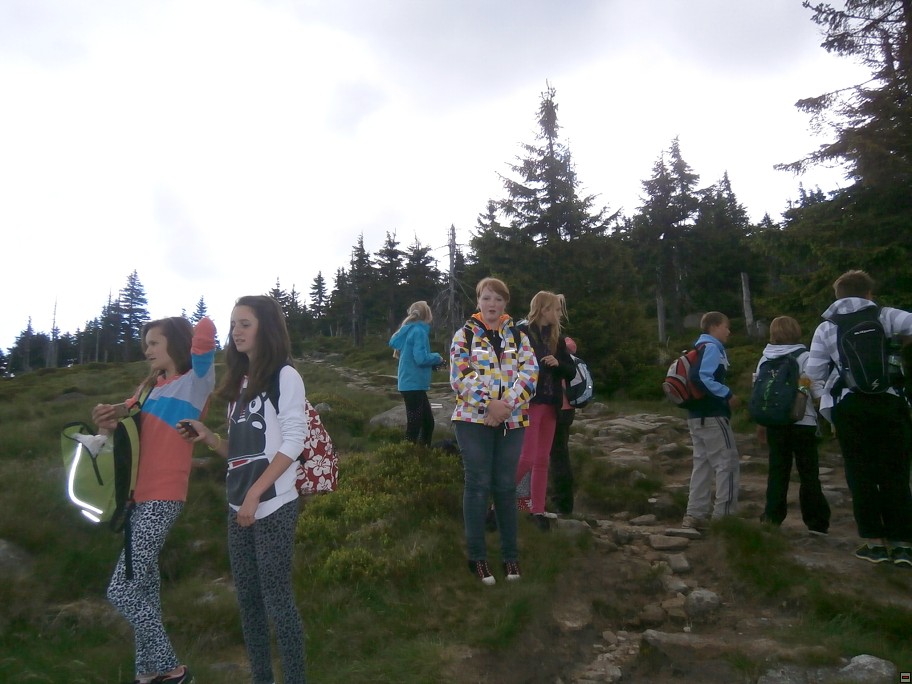 img00006.jpg