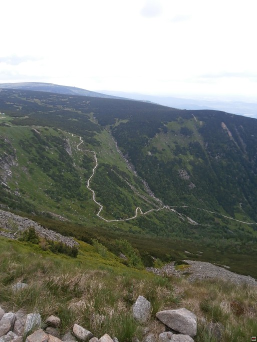 img00049.jpg