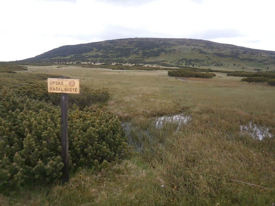 img00055.jpg