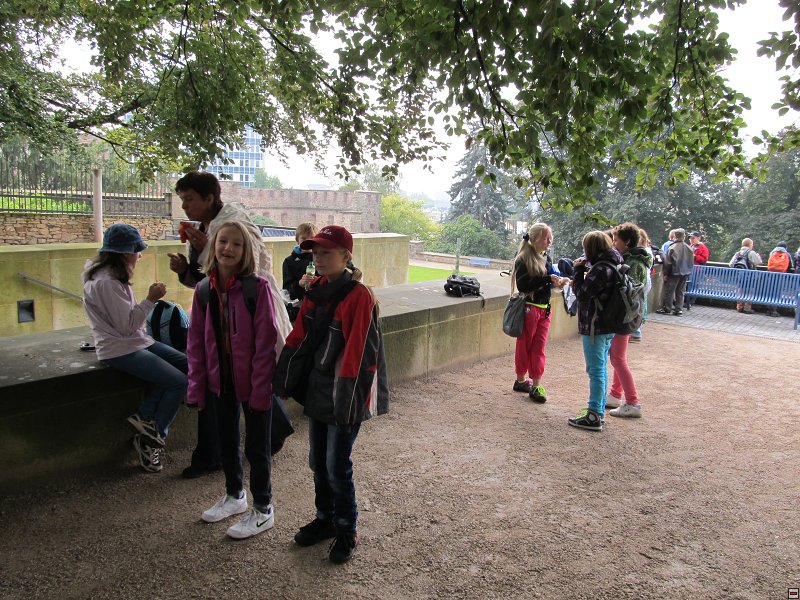 img00019.jpg