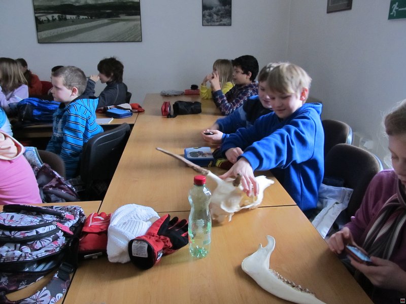 img00033.jpg