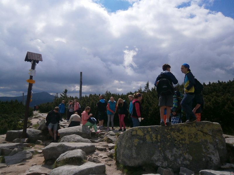 img00015.jpg