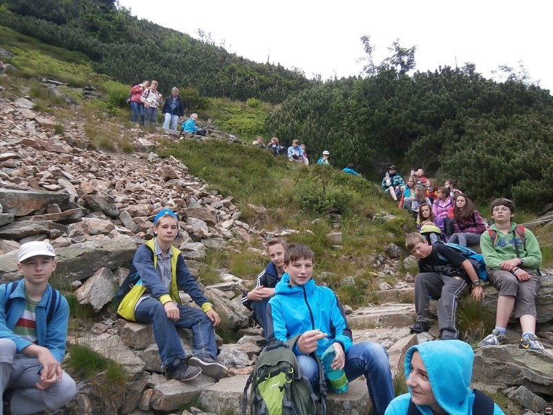 img00036.jpg