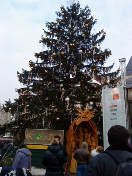 img00049.jpg