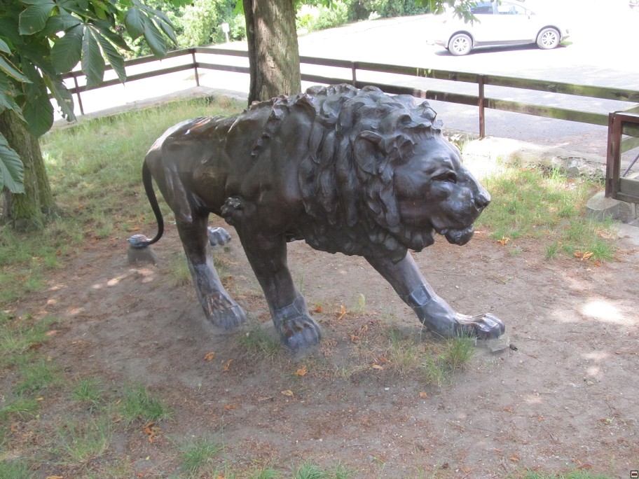 img00007.jpg