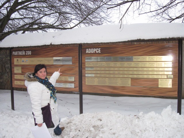 img00007.jpg