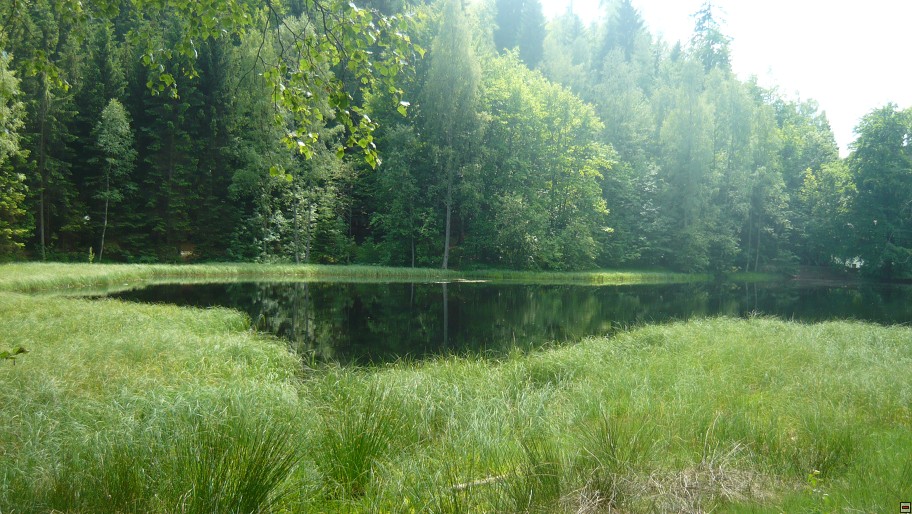 img00008.jpg
