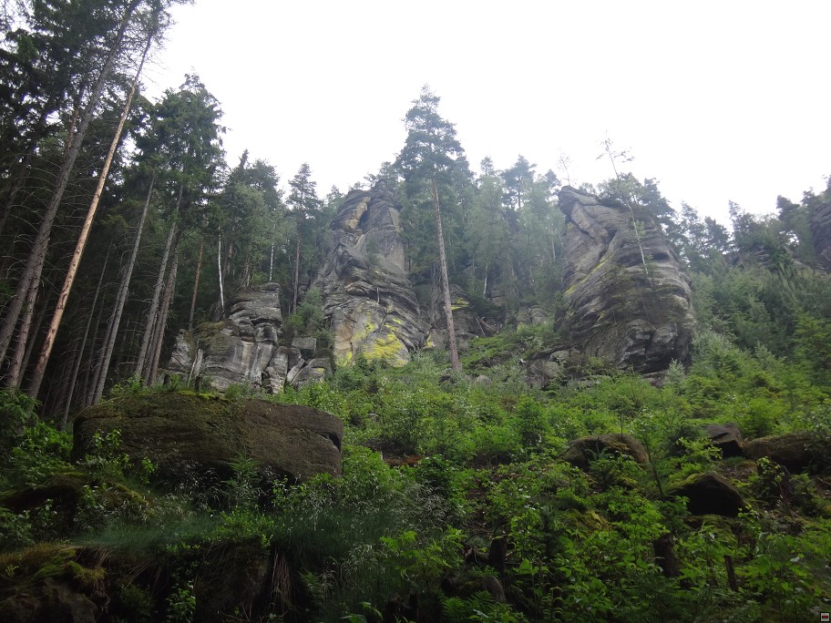 img00041.jpg